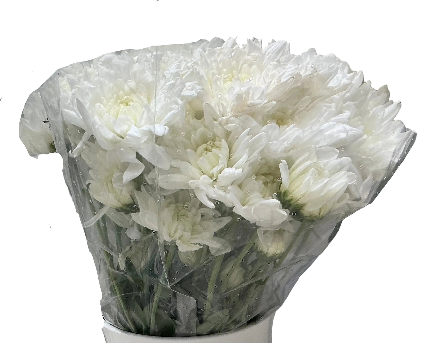 FLORES BLANCAS