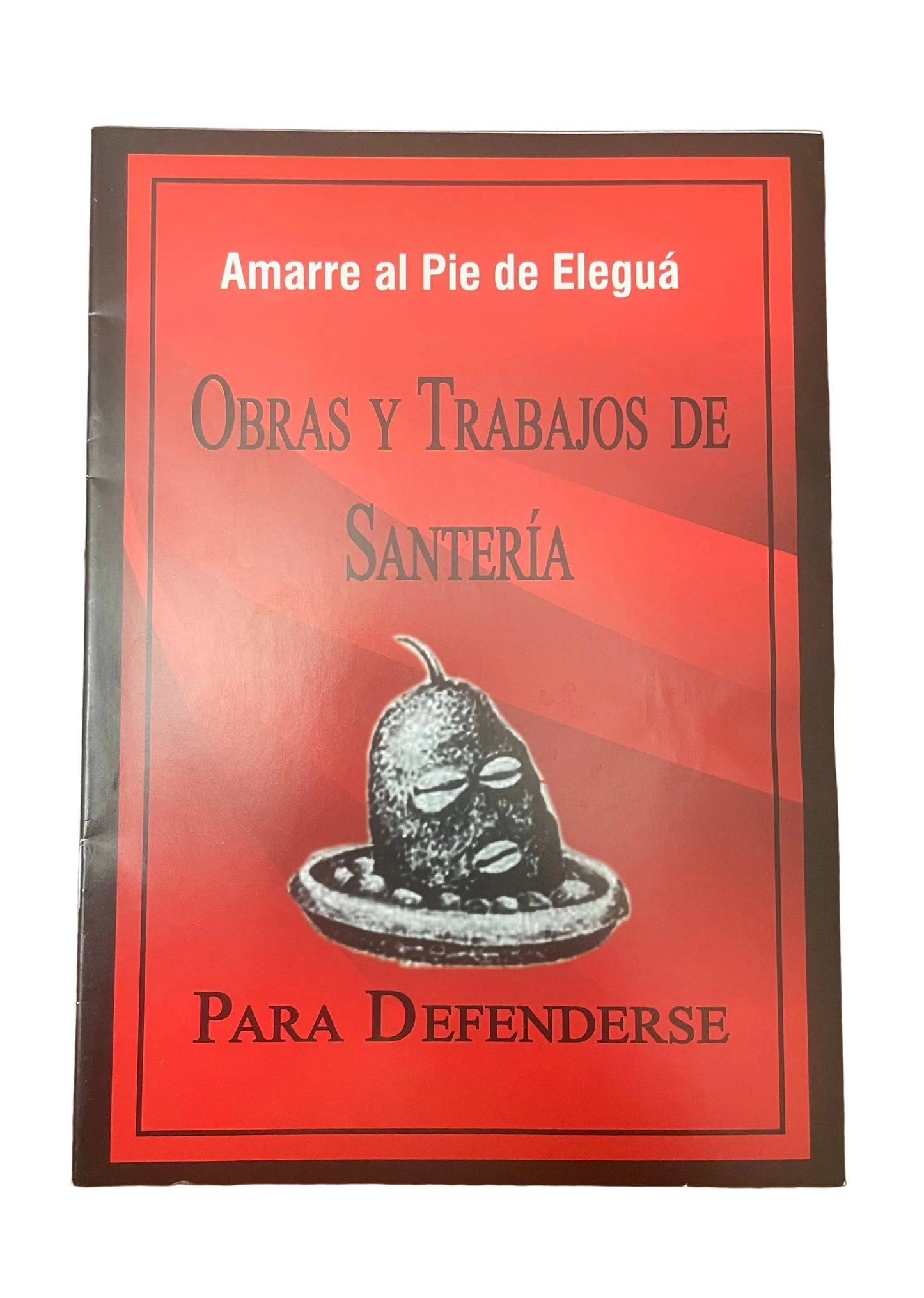 LIBRO DE OBRAS CON ELEGGUA