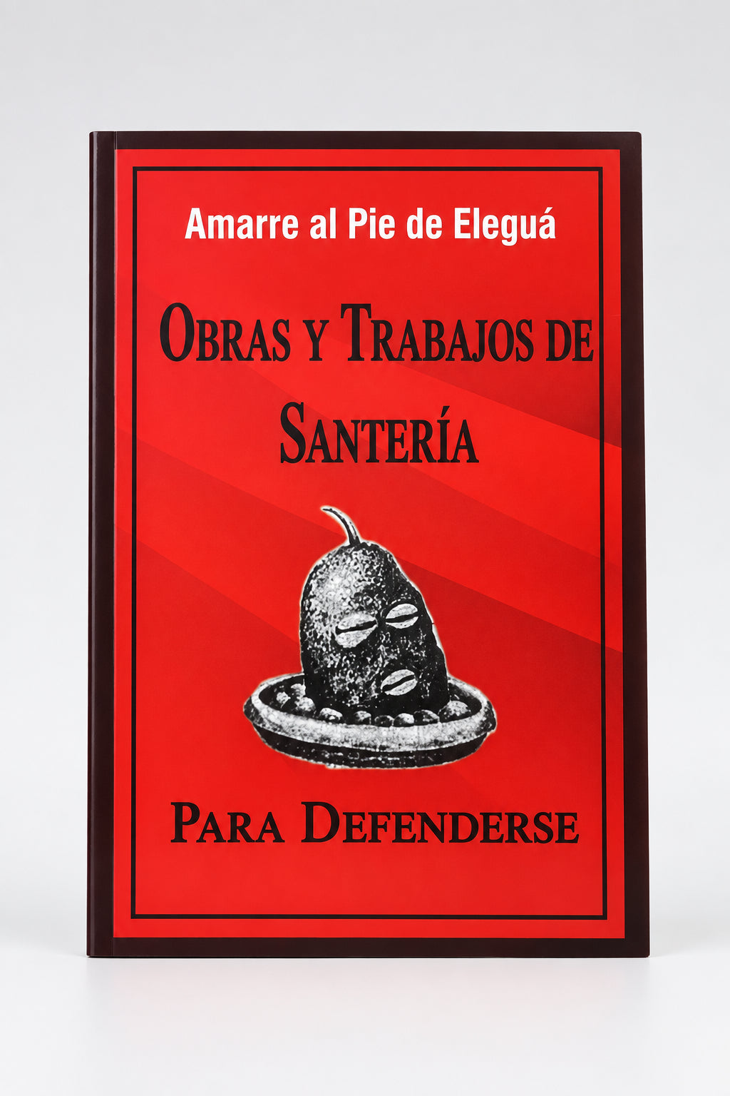 LIBRO DE OBRAS CON ELEGGUA