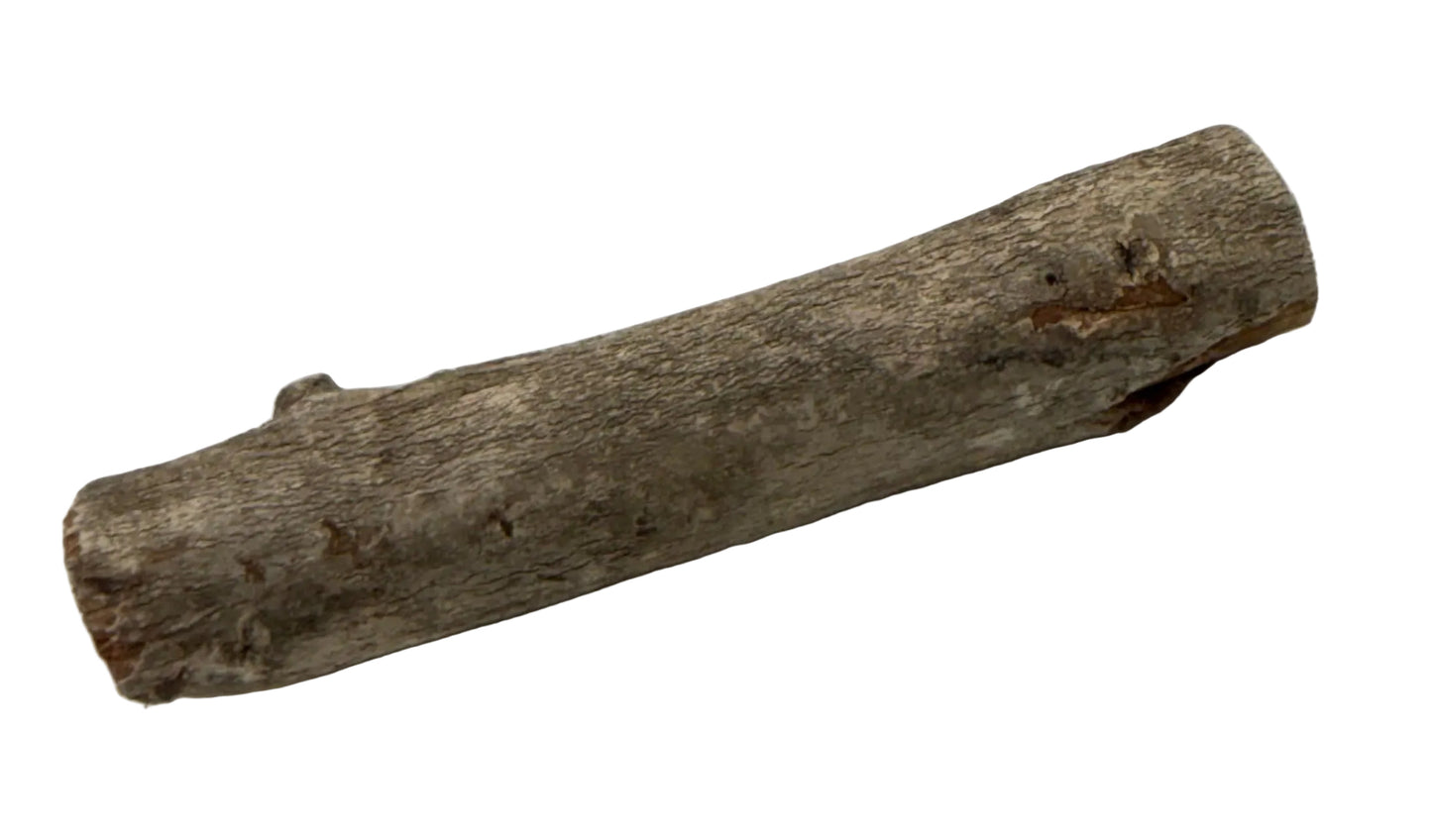 PALO MORULO