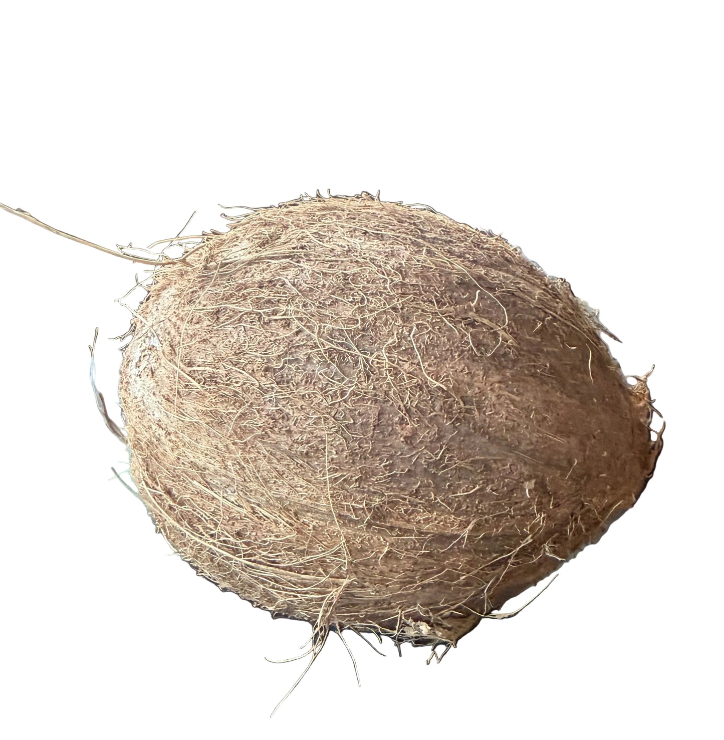 COCOS