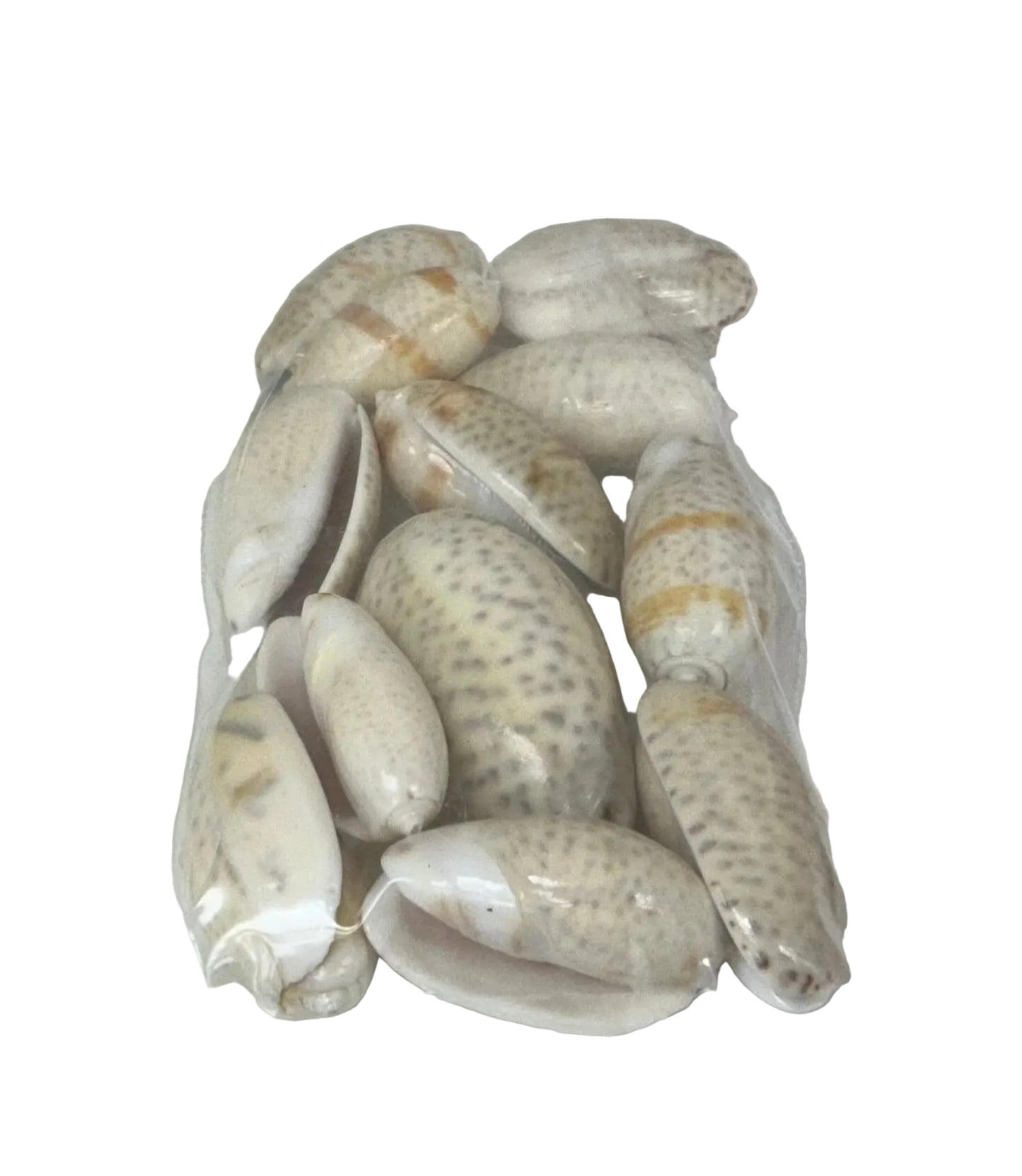 CARACOLES IBBOS MEDIANOS