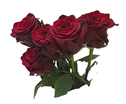 ROSAS ROJAS