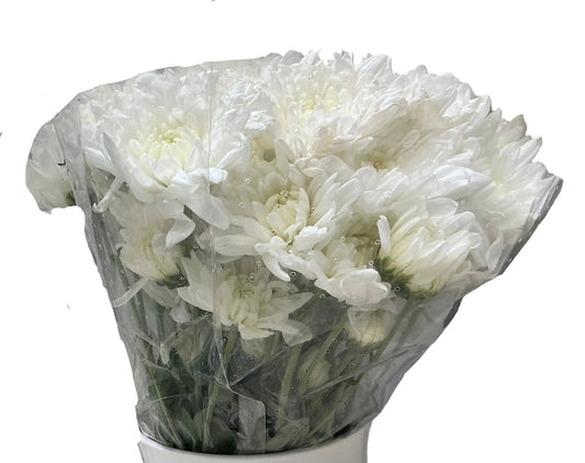 FLORES BLANCAS