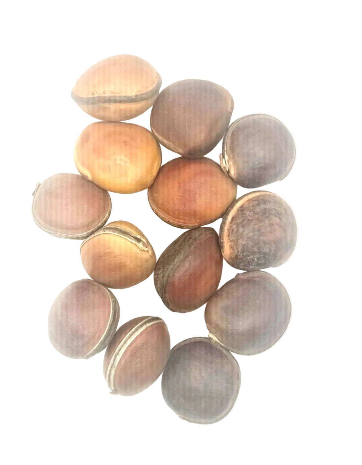 SEMILLAS OJOS DE BUEY