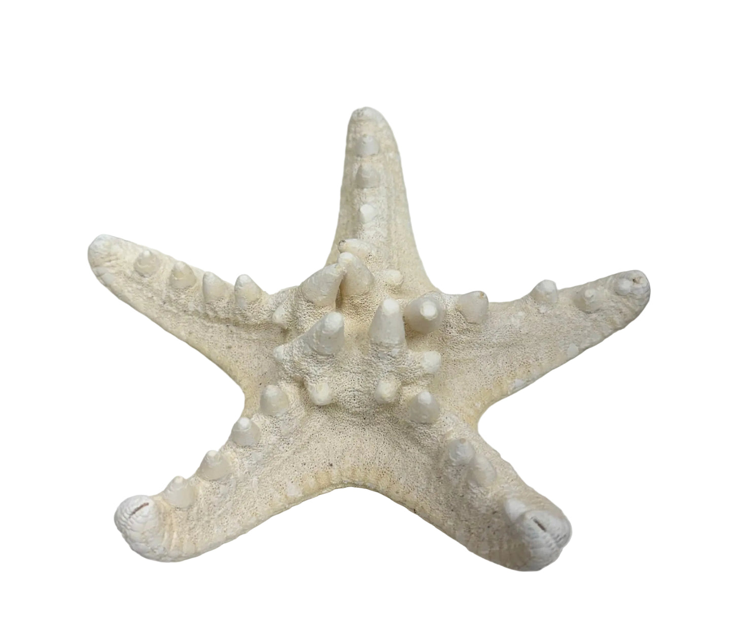 ESTRELLAS DE MAR