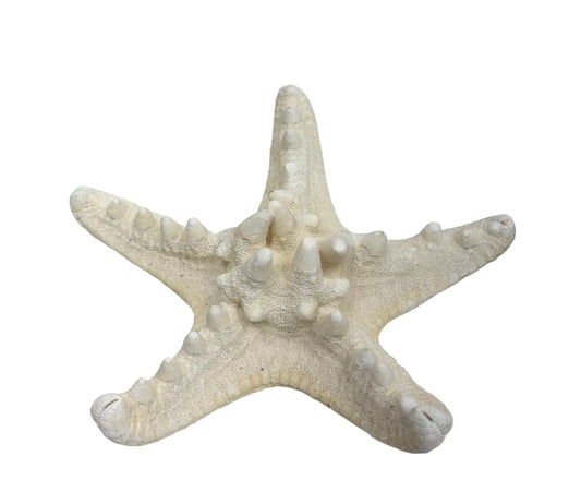 ESTRELLAS DE MAR