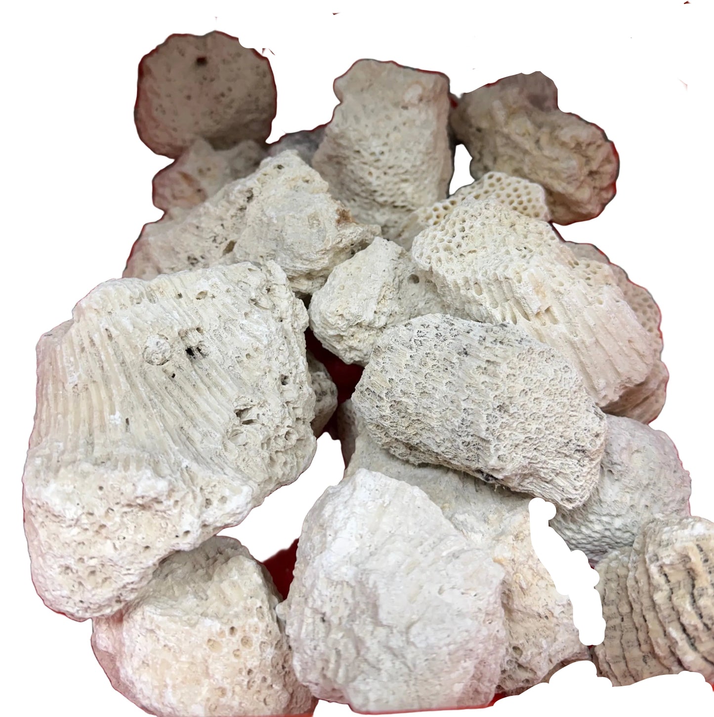 PIEDRAS POROSAS