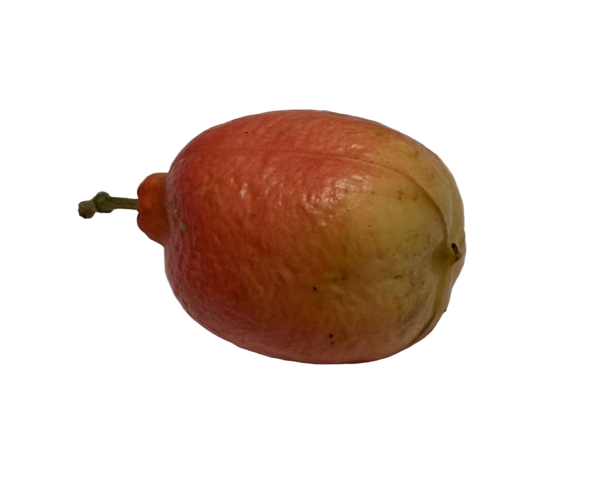 CEZO VEGETAL