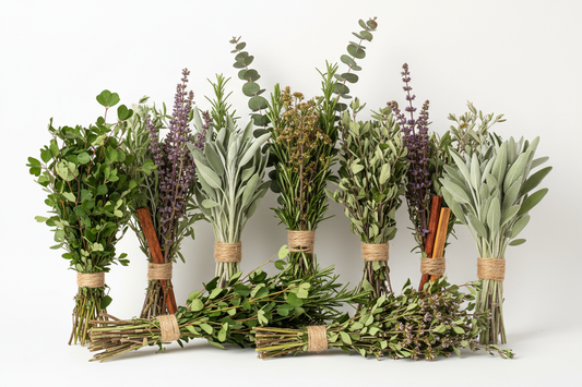 RAMOS DE YERBAS ESOTERICAS CON FONDO BLANCO